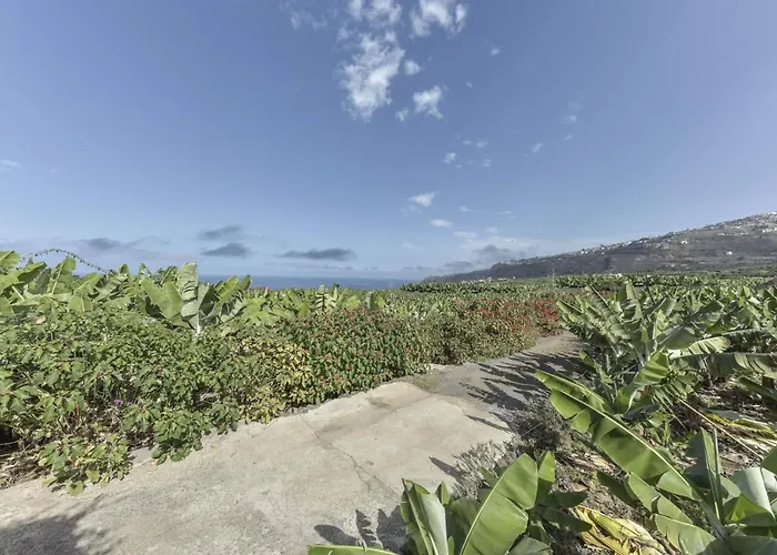 La Casita De Orovales La Paz (Tenerife)